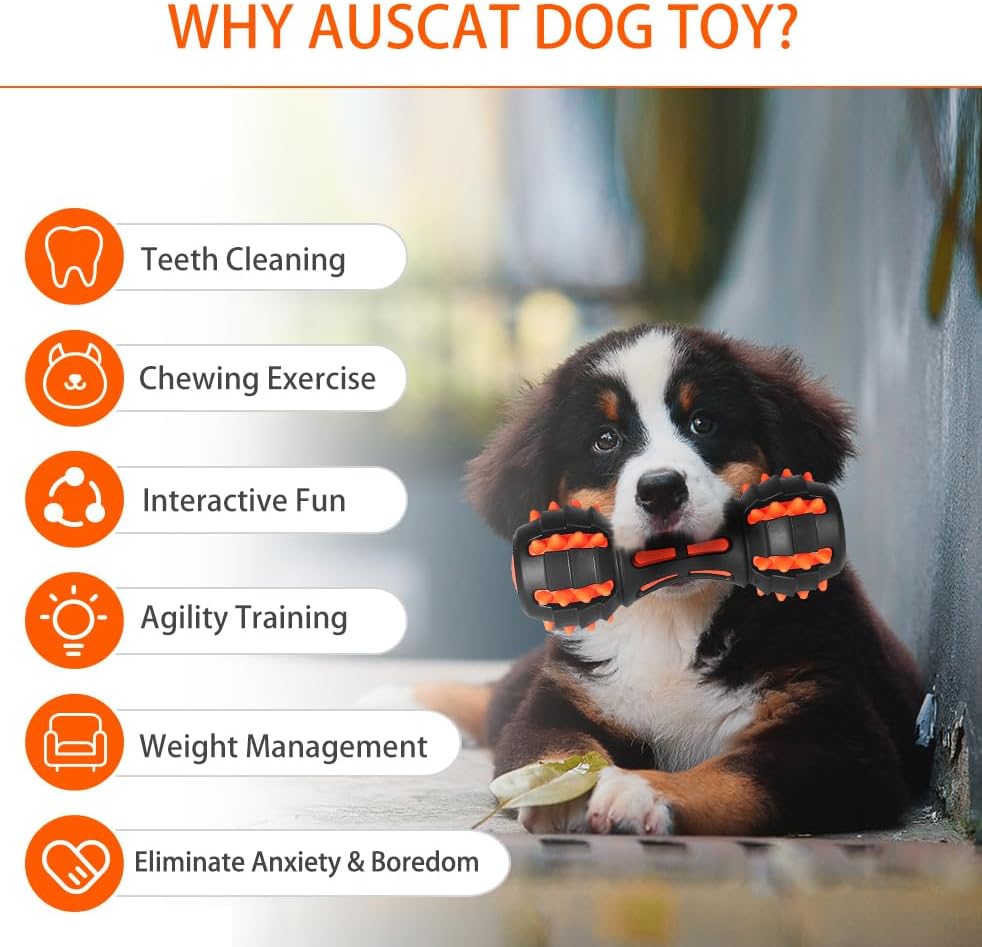 Aggressive Chewer Squeaky Toy – Durable Dumbbell Design
