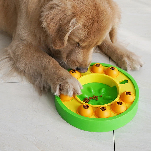Dog Puzzle Slow Feeder – IQ Training Food Dispenser
