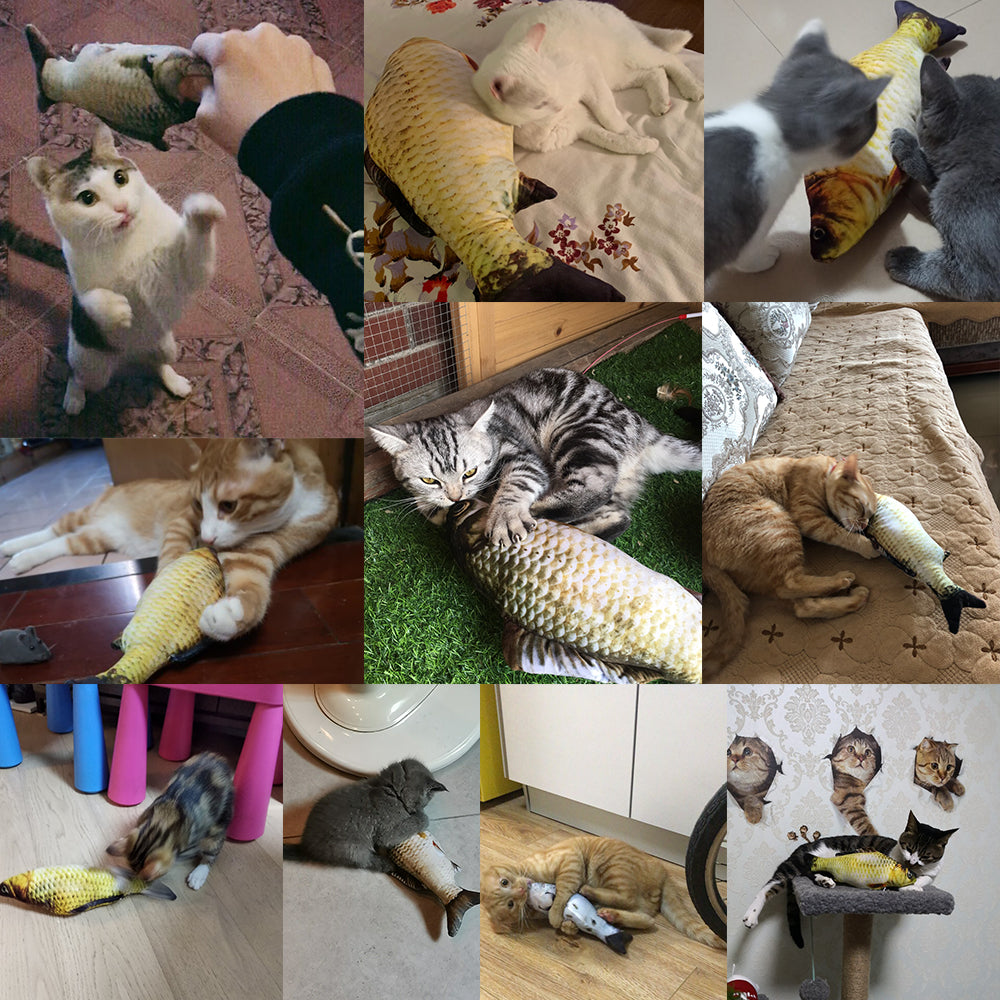 Rechargeable Jumping Fish Toy – Without Catnip