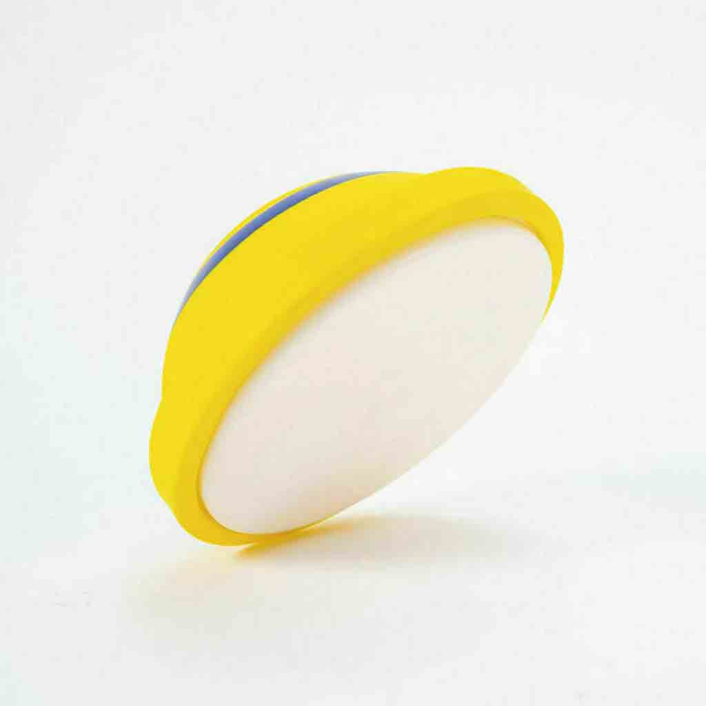 Interactive Sounding Disc – Safe Indoor Dog Play Toy