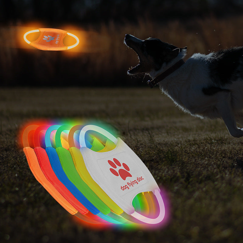 LED Luminous Flying Disc for Dogs – Interactive Play Toy