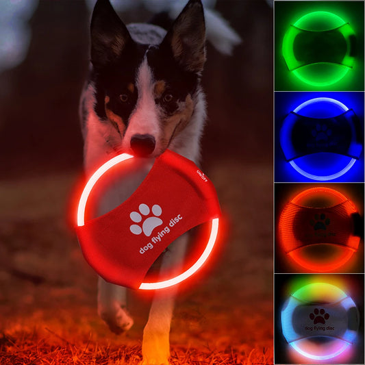 LED Luminous Flying Disc for Dogs – Interactive Play Toy