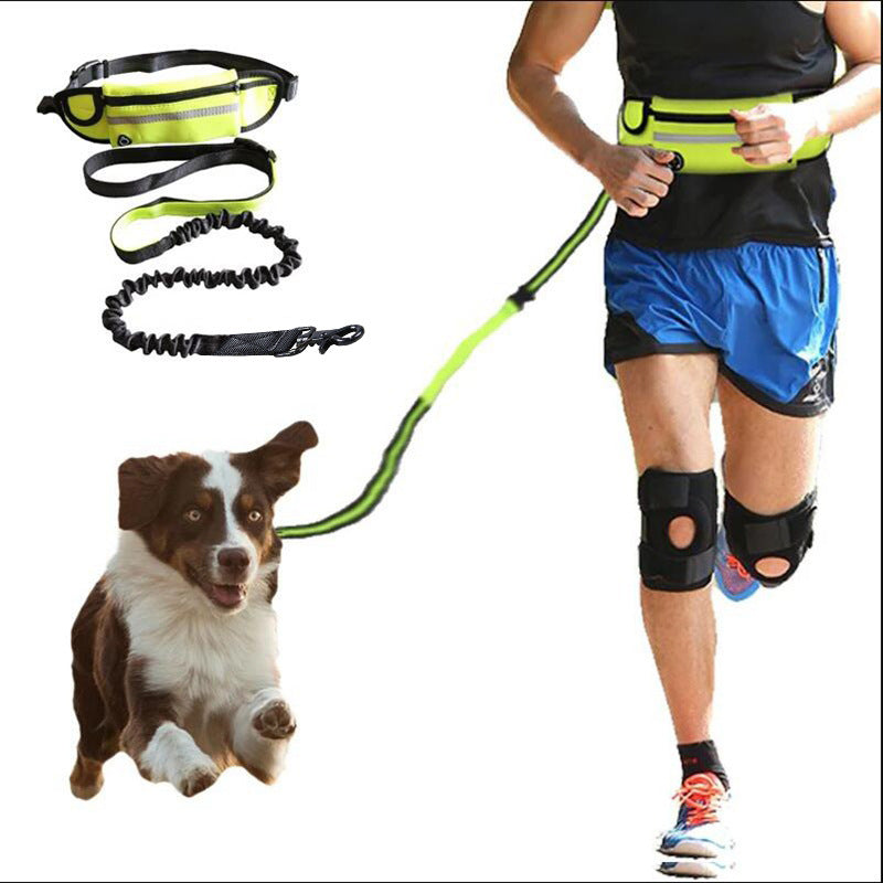 Hands-Free Pet Walking Belt – Bungee Leash + Pockets