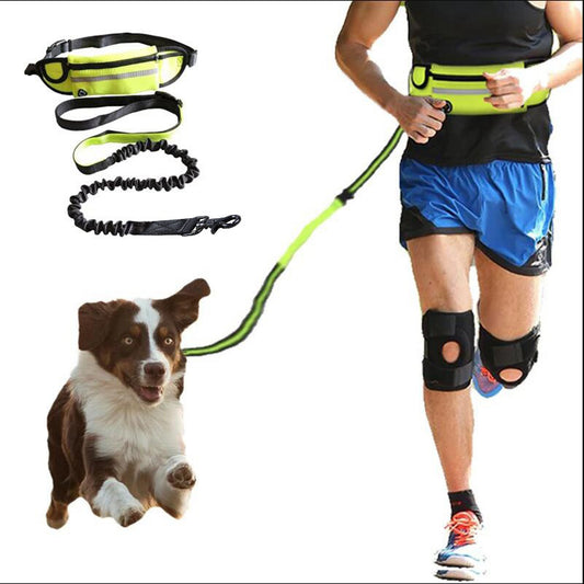 Hands-Free Pet Walking Belt – Bungee Leash + Pockets
