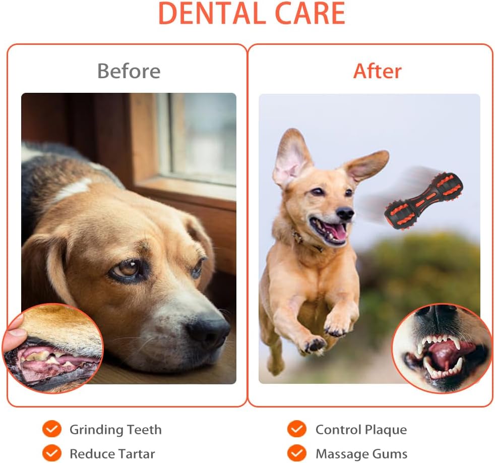 Aggressive Chewer Squeaky Toy – Durable Dumbbell Design