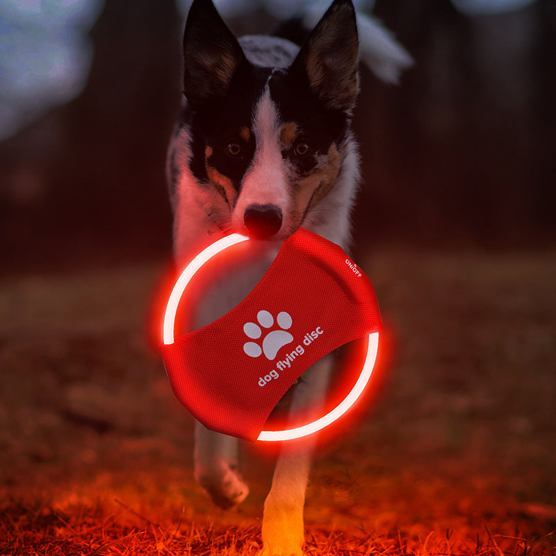 LED Luminous Flying Disc for Dogs – Interactive Play Toy